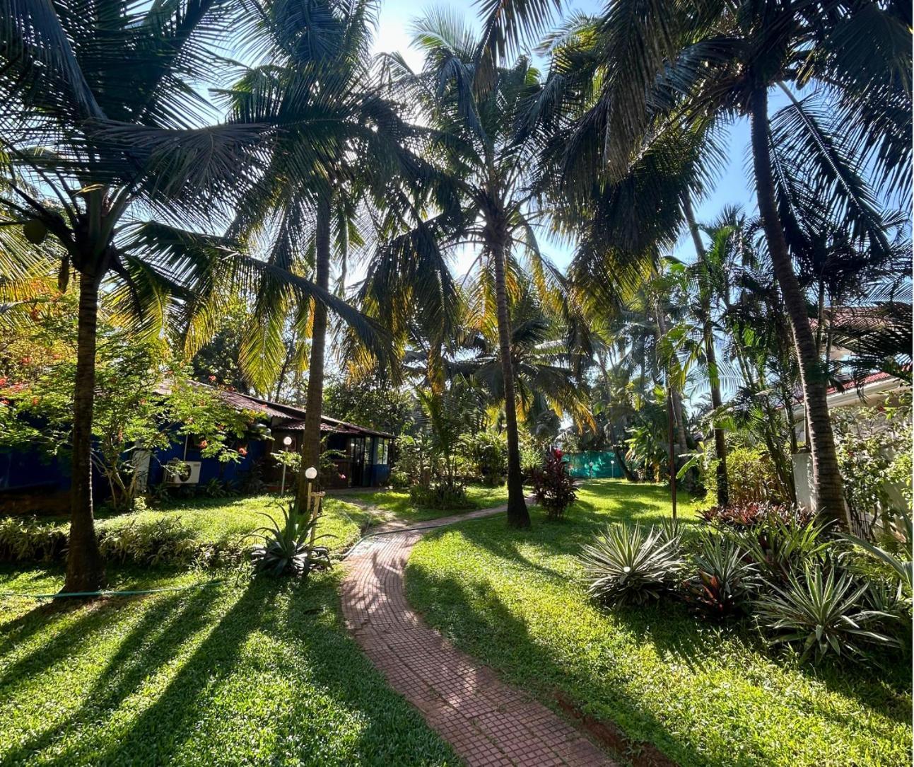 Jungle Hut-Annabelle'S Beach Apartments At Bernard Simao,Calangute,Goa Candolim Exterior foto